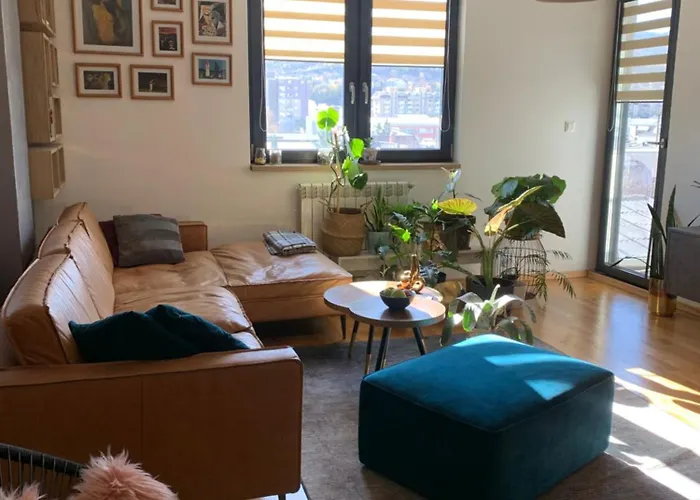 View Gem-free Parking & 100mbps Wifi *